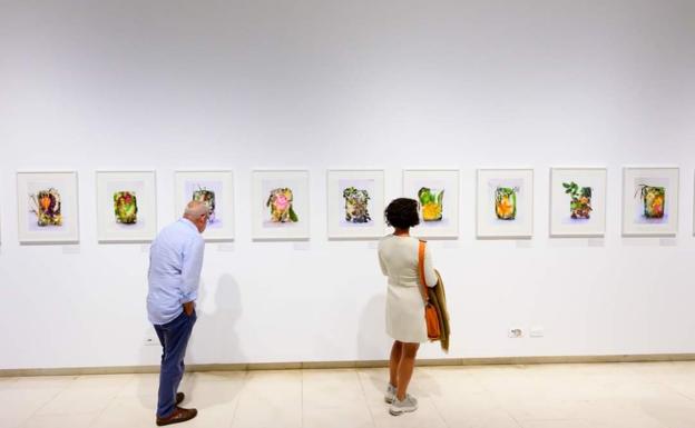Tributo pictórico y botánico a David Bramwell