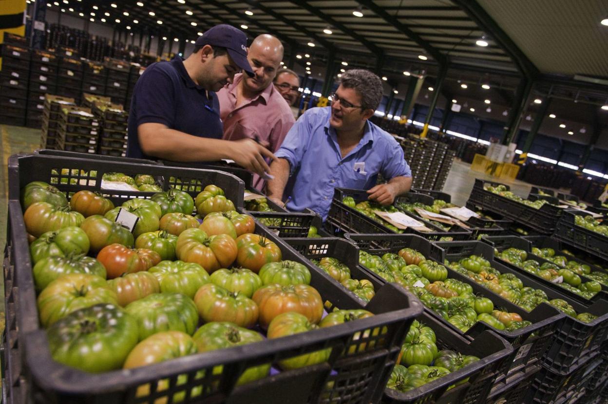 Andaluc A Sigue L Der Con El De Las Exportaciones Agroalimentarias