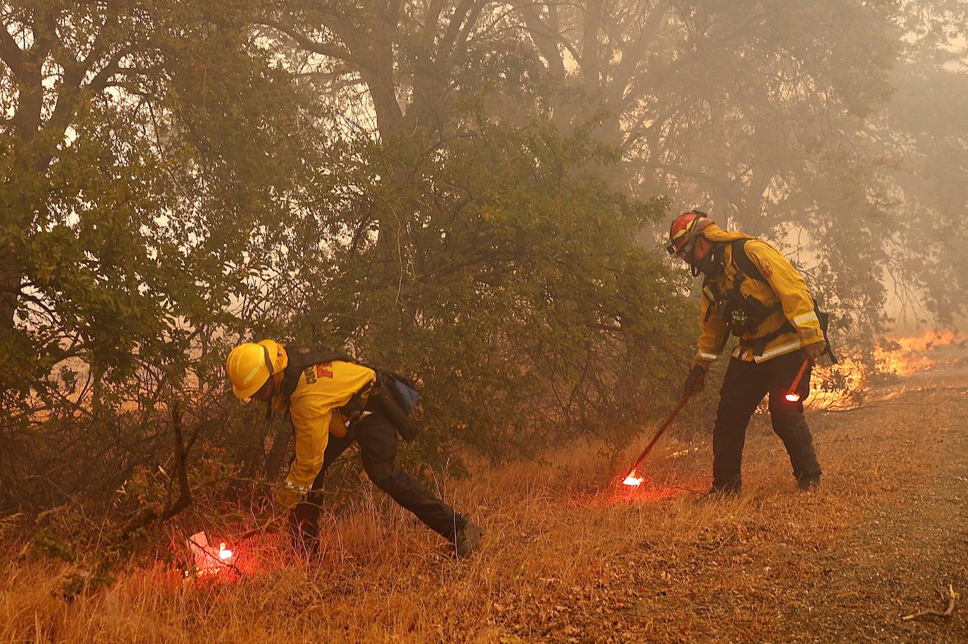 Fotos El Fuego Arrasa M S De Hect Reas En California El Correo