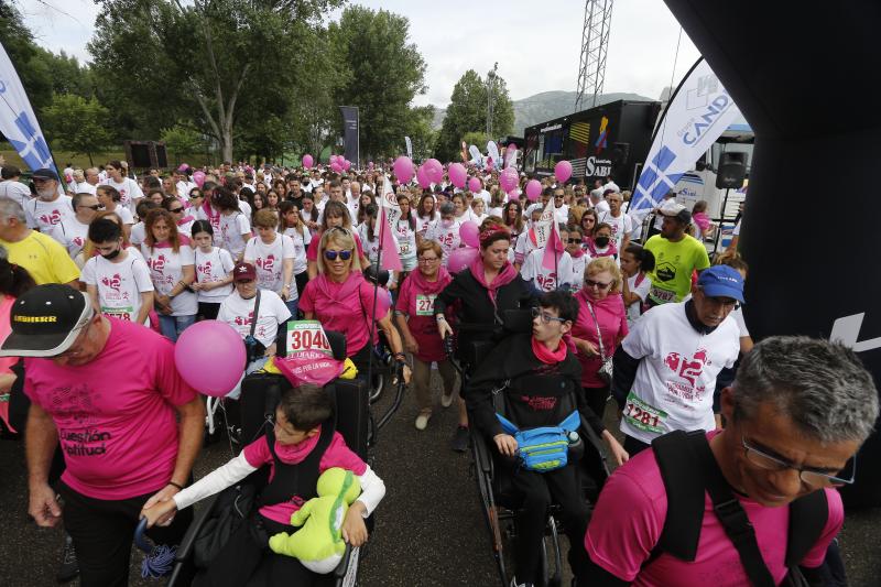 Fotos Miles de personas participan en la marcha contra el cáncer de