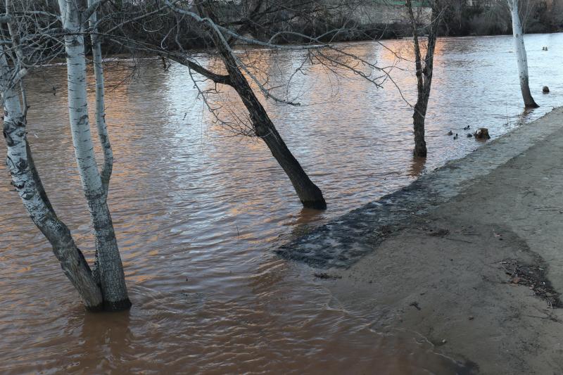 Fotos El Pisuerga Multiplica Por Seis Su Caudal En 48 Horas El Norte