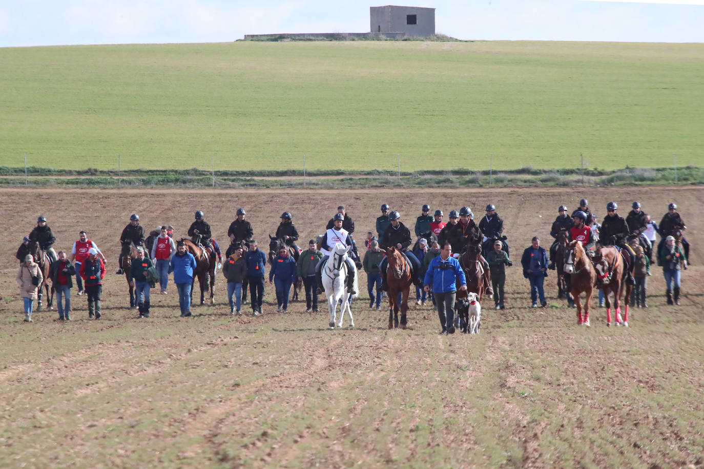 La segunda jornada de octavos del Campeonato de España de Galgos en