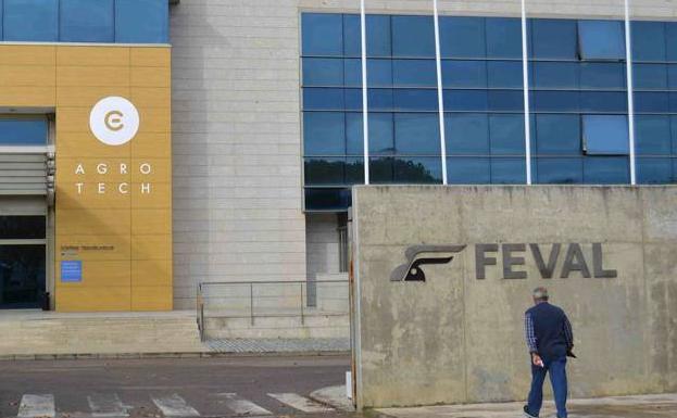El juzgado archiva la causa contra la directora de Feval