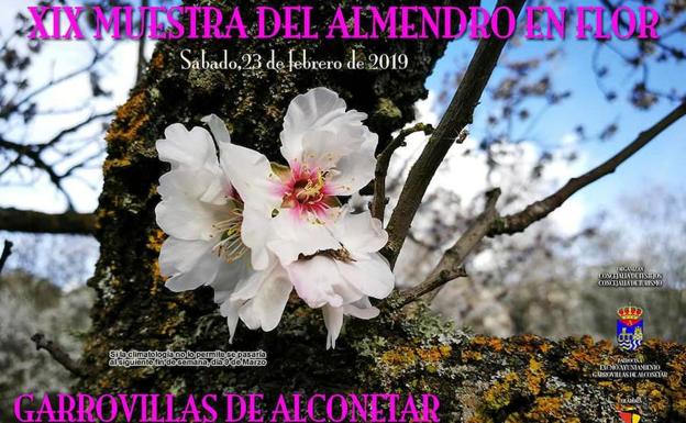 Garrovillas de Alconétar celebra este sábado su Fiesta del Almendro en