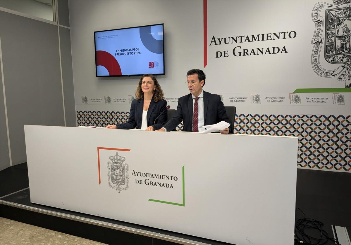 El Psoe De Granada Pide M S Fondos Para La Dependencia A Cambio De Su