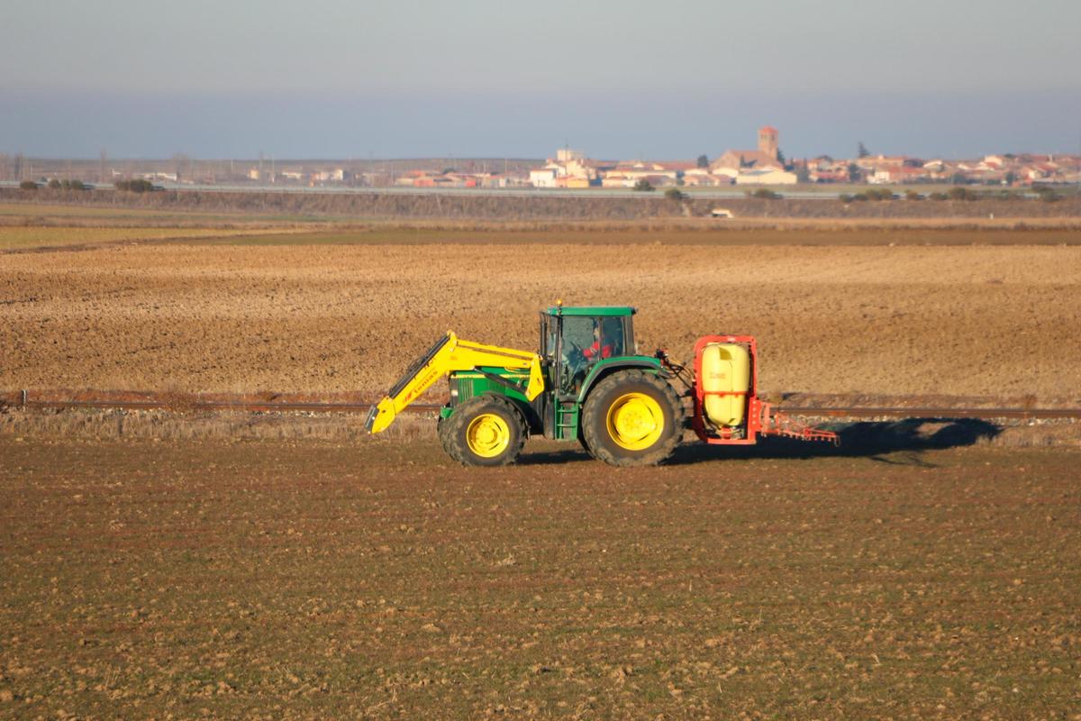 El Campo Envejece En Pe Aranda El De Los Agricultores Tienen M S