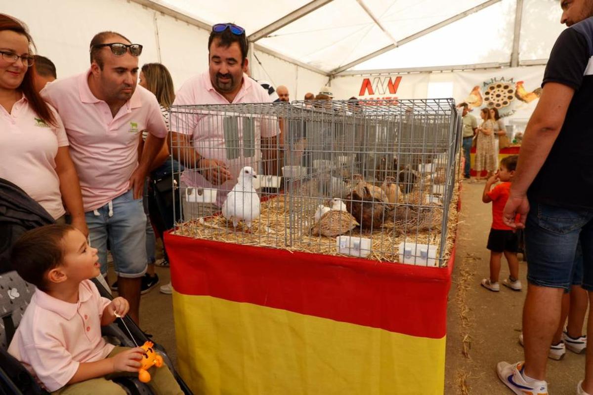 La segunda jornada de Salamaq en imágenes La Gaceta de Salamanca