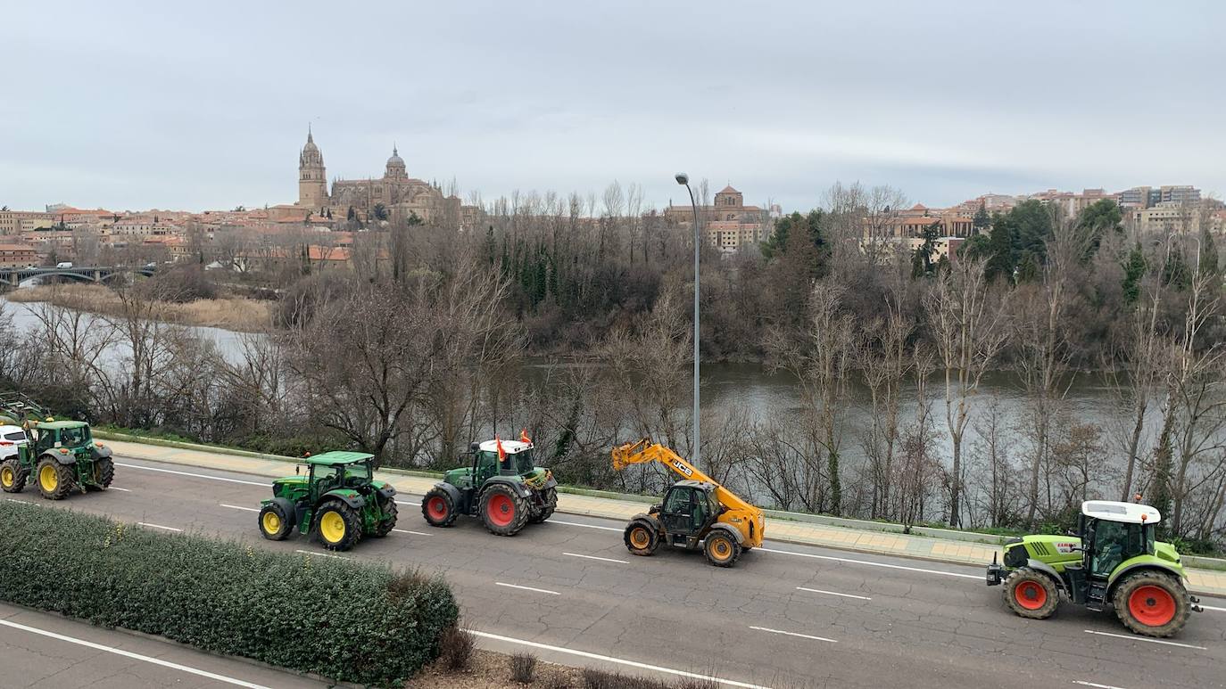 Por qué protestan los ganaderos y agricultores salmantinos La Gaceta