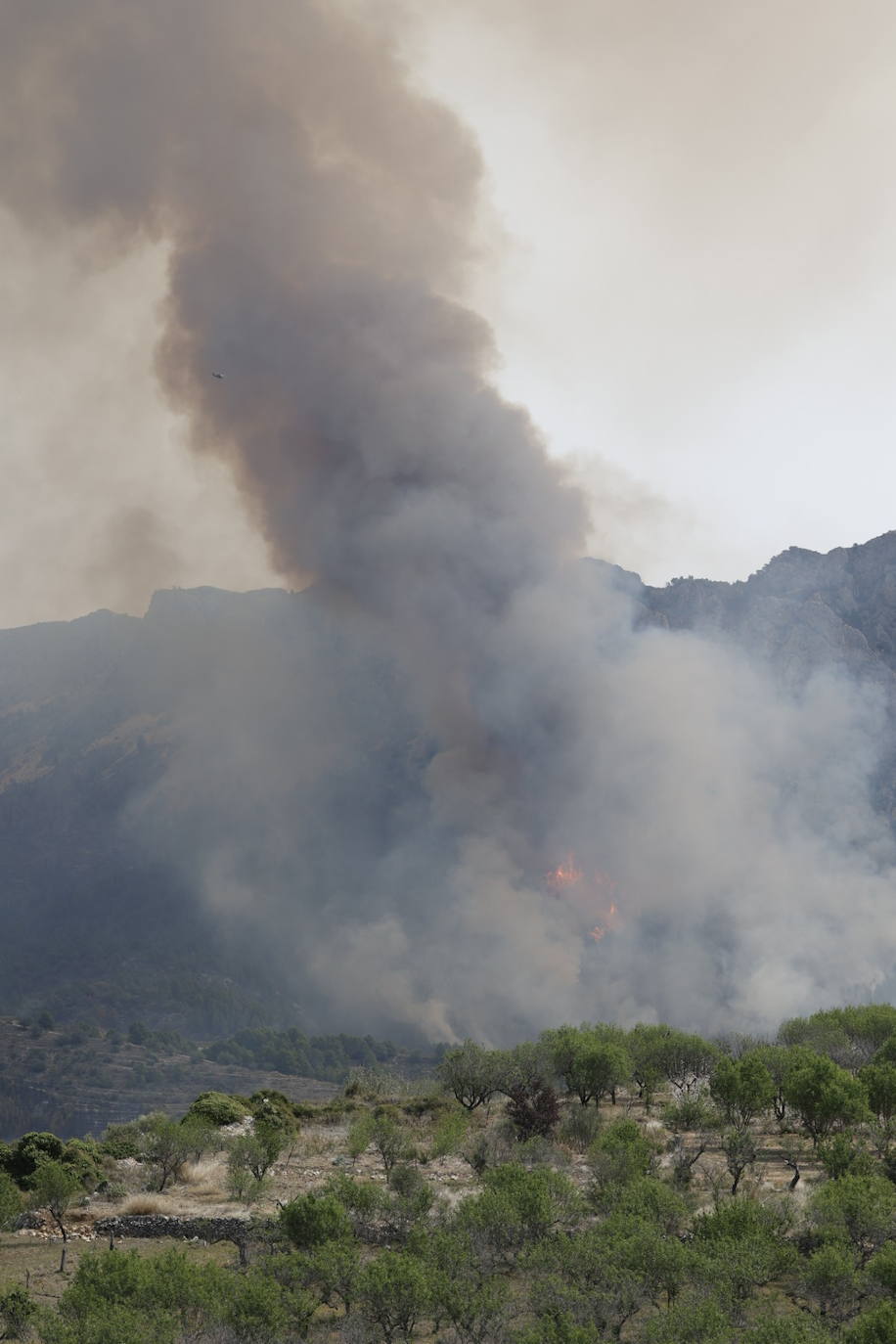 Fotos Incendio T Berna El Incendio De T Rbena Calcina Unas