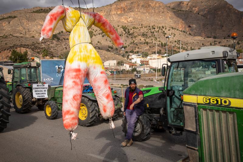 La Tractorada De Los Organizaciones Agrarias Por La Vega Baja No Logra