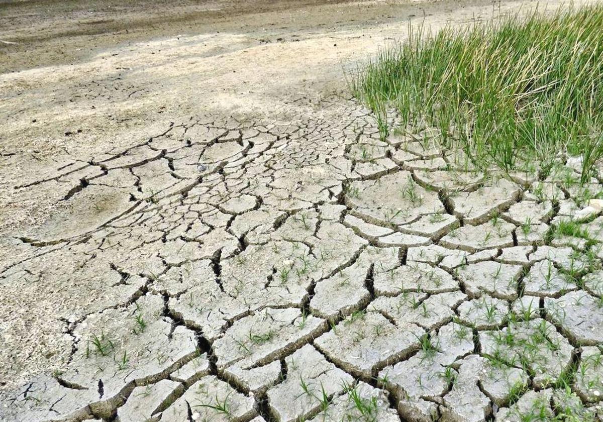 Agroseguro Abona Millones A Los Agricultores De Le N Por Los Da Os