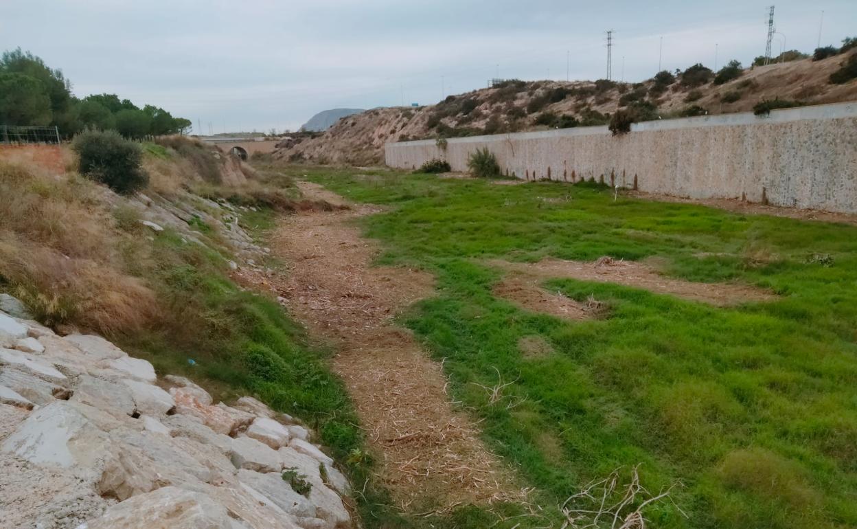 Limpieza En Alicante En Marcha Los Trabajos De Limpieza Del Barranco