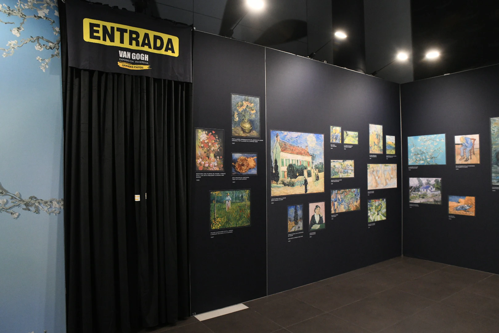 Así es la exposición inmersiva de Van Gogh en Alicante cuadros fechas