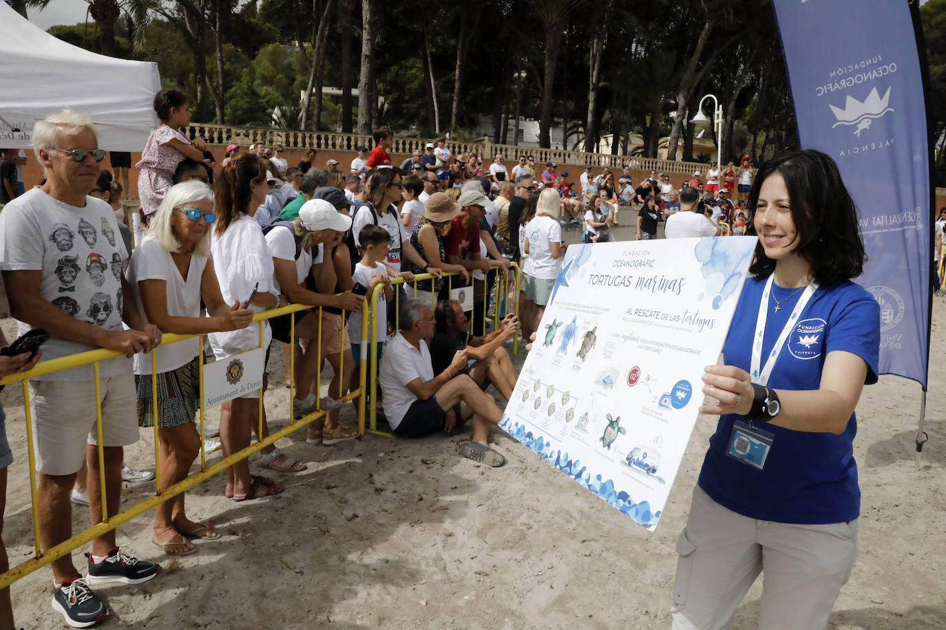 Devuelven Al Mar Siete Tortugas Nacidas En Un Nido De D Nia El Pasado