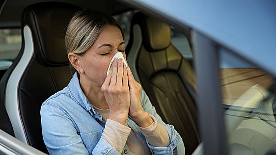 Peligro al volante: la alergia dispara un 30% el riesgo de sufrir un accidente