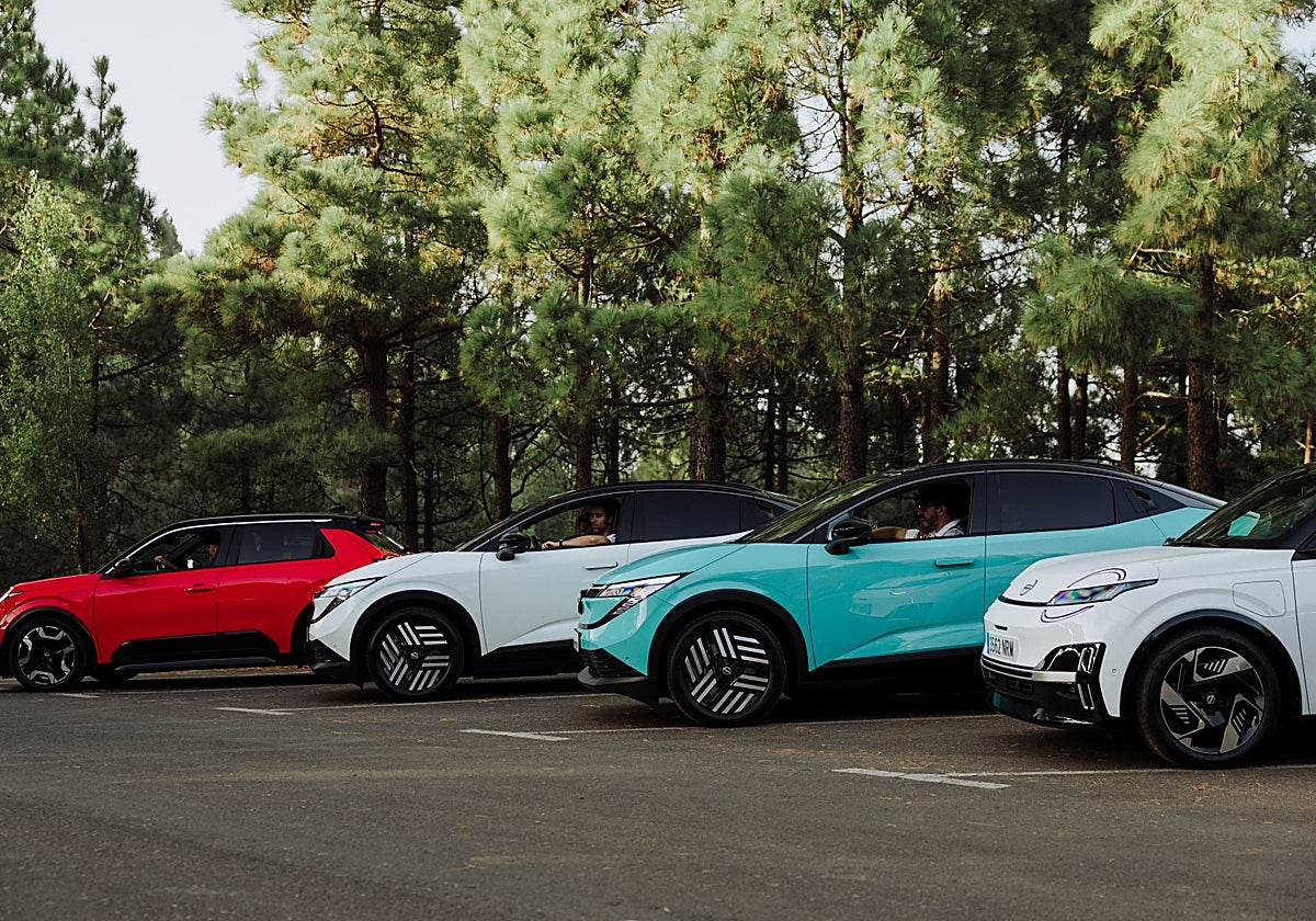 Nissan acelera en su ofensiva eléctrica | El Diario Montañés