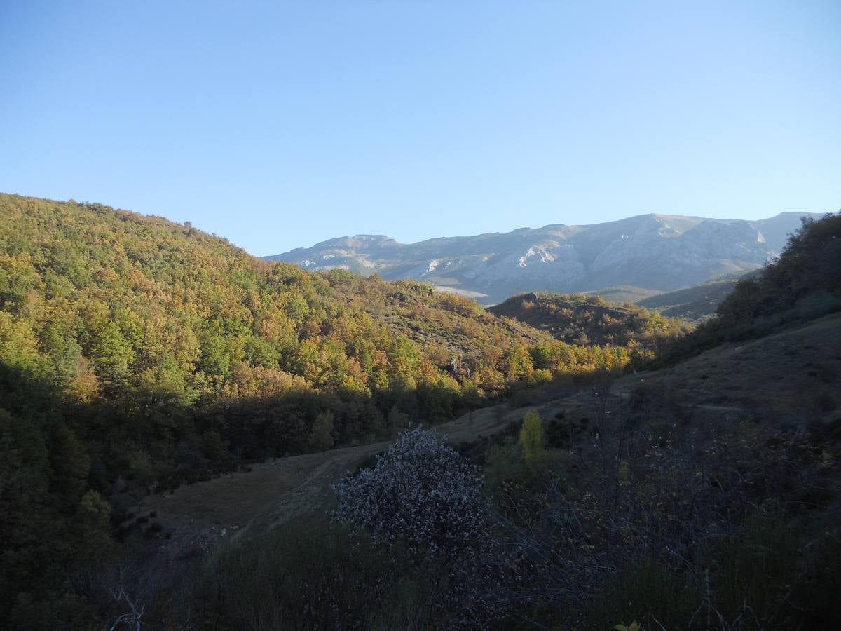 La ruta parte de la localidad de Santa María de Redondo, siguiendo el curso del río Pisuerga, hasta llegar a la magestuosa cueva de Fuente Cobre