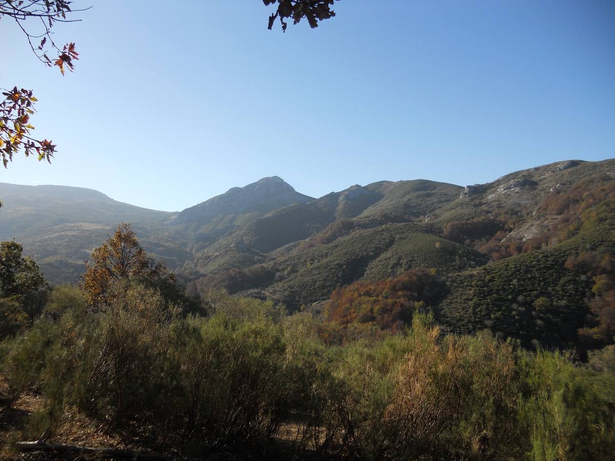 La ruta parte de la localidad de Santa María de Redondo, siguiendo el curso del río Pisuerga, hasta llegar a la magestuosa cueva de Fuente Cobre