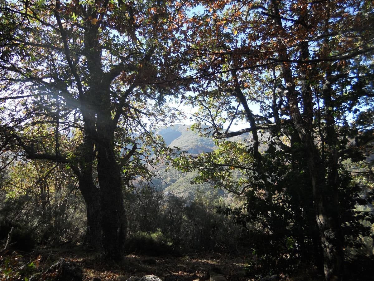 La ruta parte de la localidad de Santa María de Redondo, siguiendo el curso del río Pisuerga, hasta llegar a la magestuosa cueva de Fuente Cobre