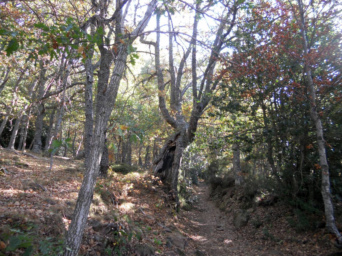 La ruta parte de la localidad de Santa María de Redondo, siguiendo el curso del río Pisuerga, hasta llegar a la magestuosa cueva de Fuente Cobre