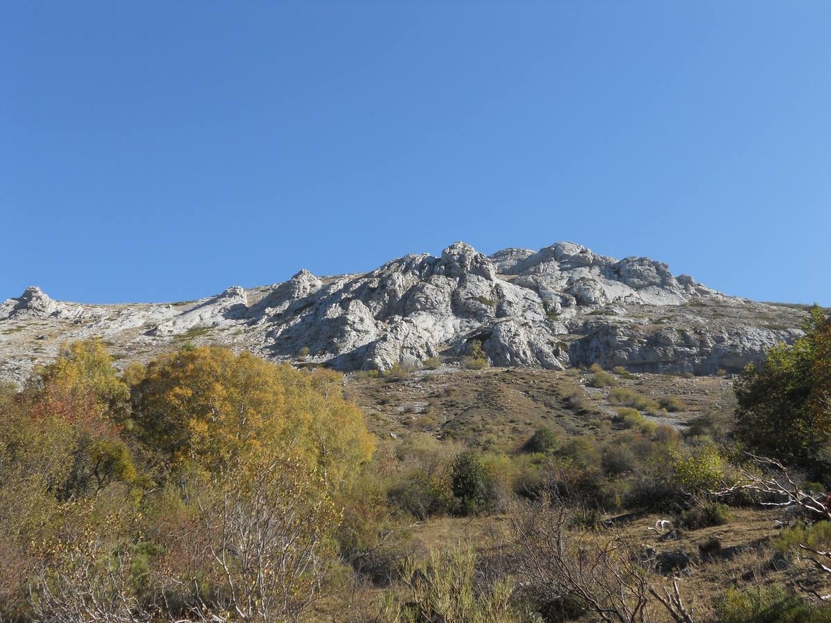 La ruta parte de la localidad de Santa María de Redondo, siguiendo el curso del río Pisuerga, hasta llegar a la magestuosa cueva de Fuente Cobre