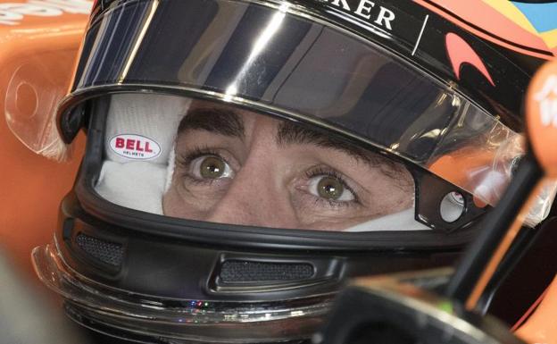 Fernando Alonso. 