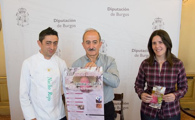 Las jornadas se presentaron en Diputación