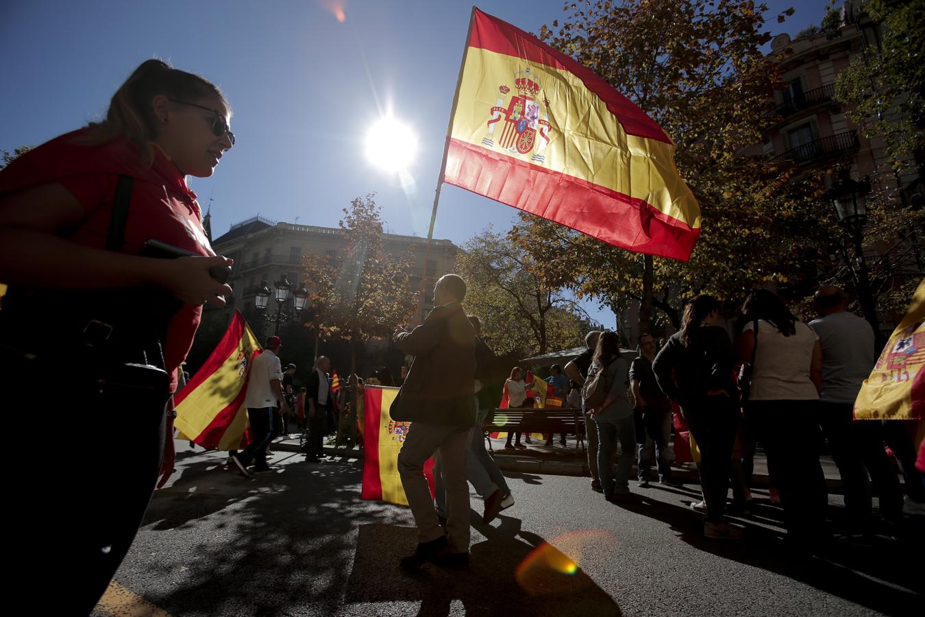 La marcha convocada por Societat Civil Catalana bajo el lema 'Tots som Catalunya. Per la convivència, seny!