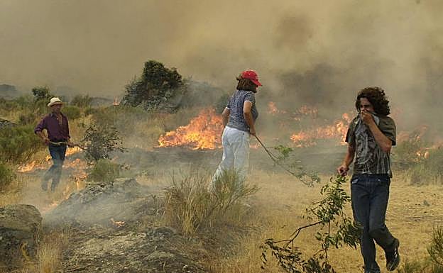 Las llamas asolan el campo salmantino en uno de los habituales incendios estivales.