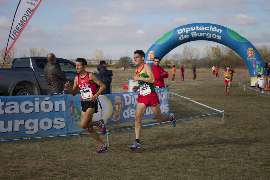 Los mejores corredores del mundo en el mejor cross del mundo