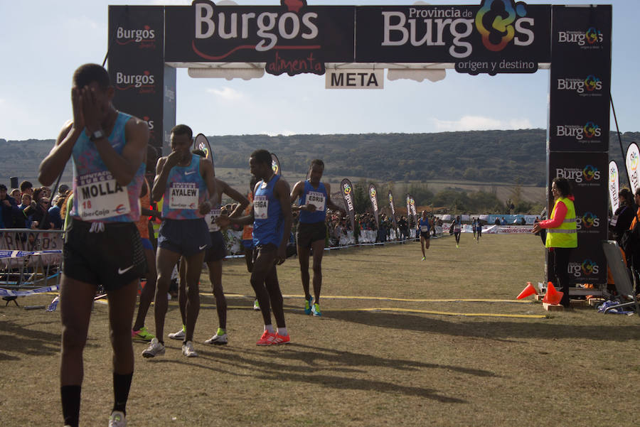 Los mejores corredores del mundo en el mejor cross del mundo