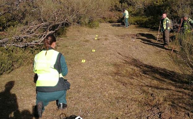 Labores de rastreo para localizar el oso.