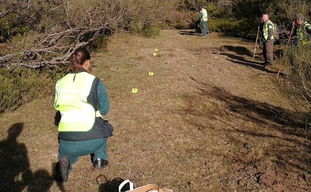 Labores de búsqueda del oso en Palencia.