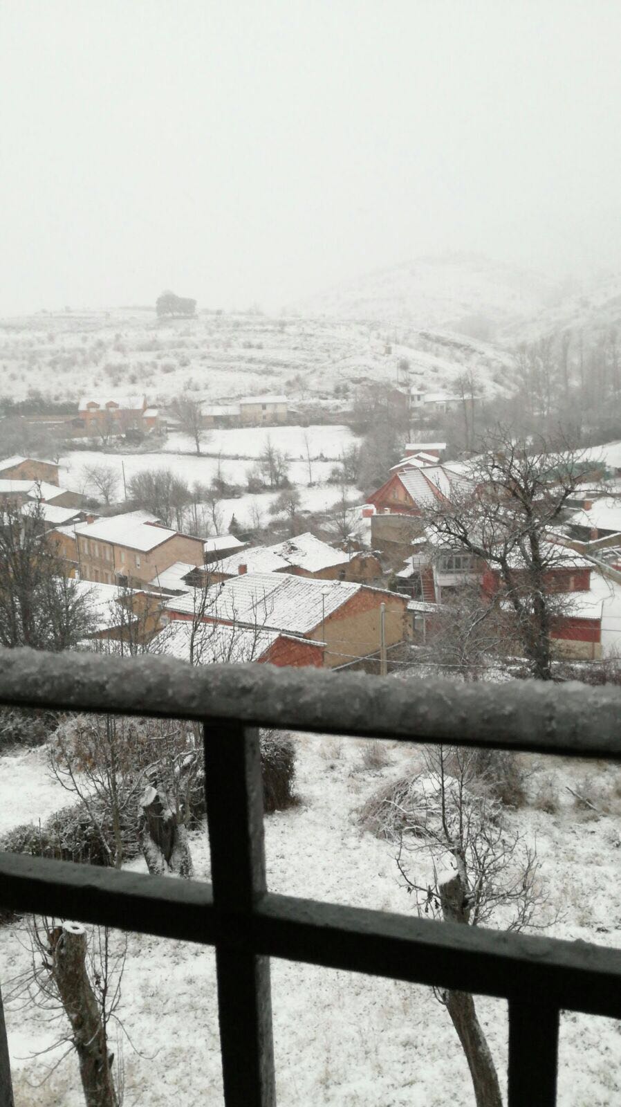 Nieve en el municipio de Yugueros, en León.