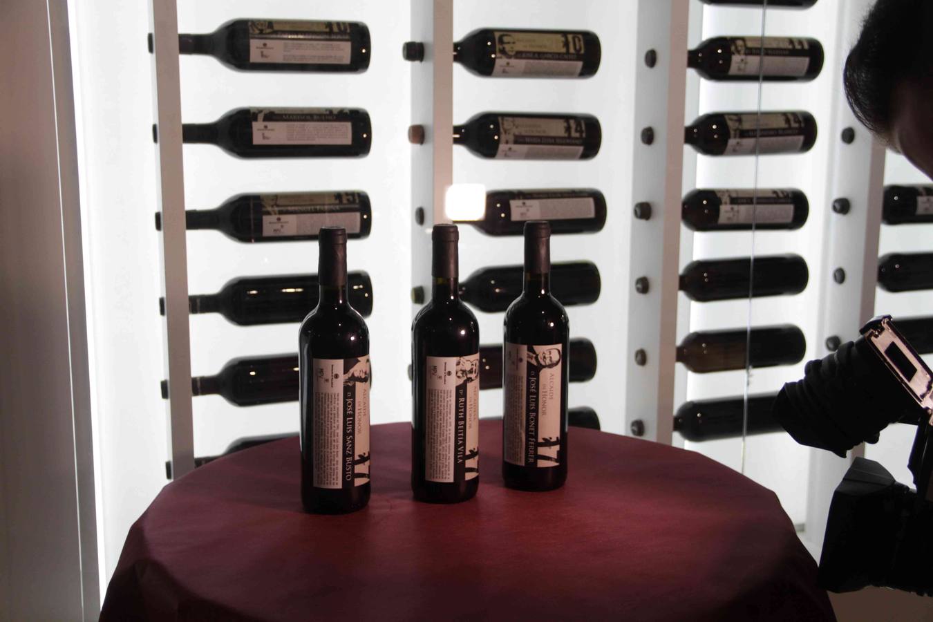 El reconocimiento, que ha congregado a numerosos invitados, ha tenido lugar este mediodía en el castillo de Peñafiel