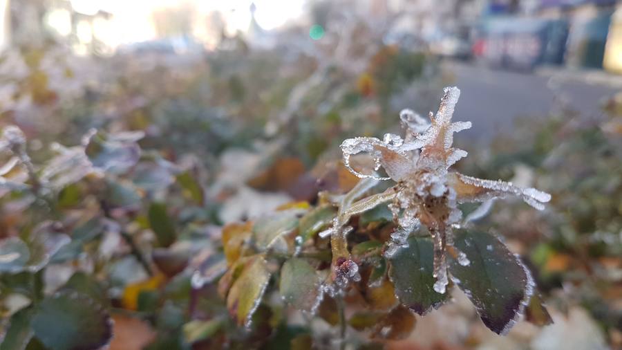 La ciudad burgalesa se ha levantado con el blanco subido, mucho frío pero bellas estampas invernales