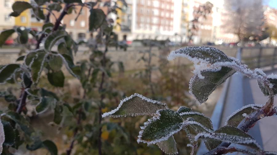 La ciudad burgalesa se ha levantado con el blanco subido, mucho frío pero bellas estampas invernales