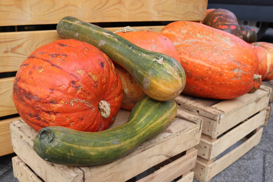 Del 6 al 10 de diciembre, la Plaza de la Flora acoge un mercado 'Autöctono' con productos ecólogicos.