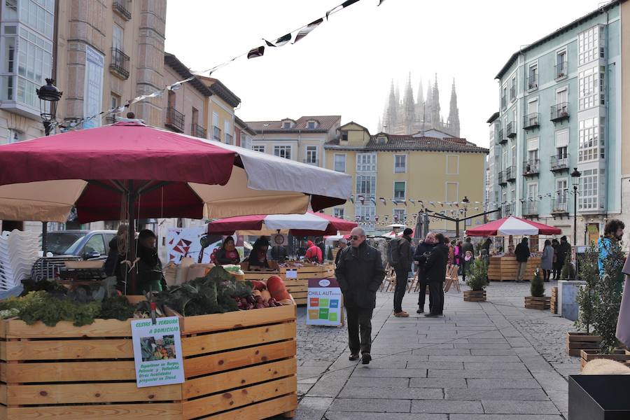 Del 6 al 10 de diciembre, la Plaza de la Flora acoge un mercado 'Autöctono' con productos ecólogicos.