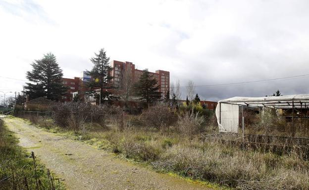 Paraje donde está previsto construir el nuevo aparcamiento del hospital Río Carrión de Palencia.