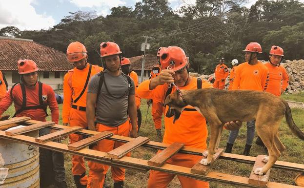 Se ha trabajado con los guías y los perros