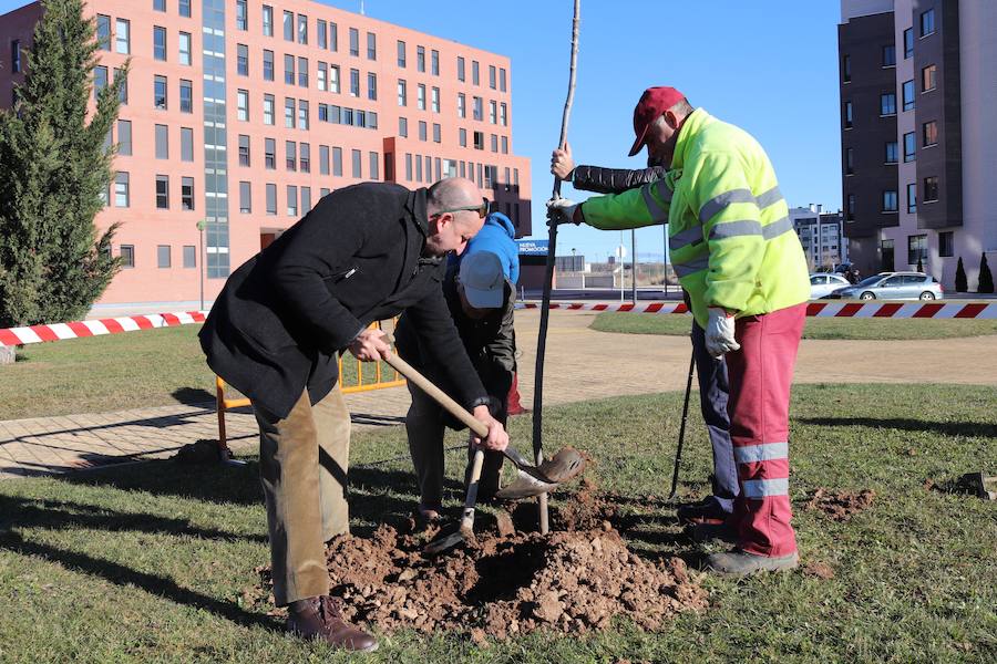 La Asociación Párkinson Burgos ha realizado su tradicional plantación de árboles en el Parque Juan Pablo II