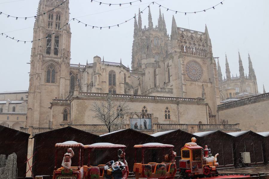 La incesante nieve ha caído durante toda la jornada del sábado ha dejado bellas estampas en la ciudad