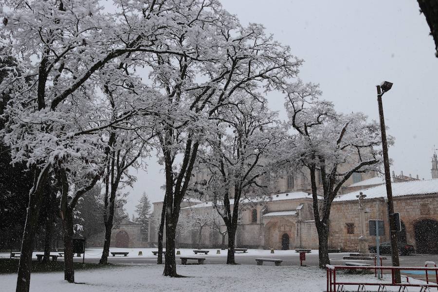 La incesante nieve ha caído durante toda la jornada del sábado ha dejado bellas estampas en la ciudad