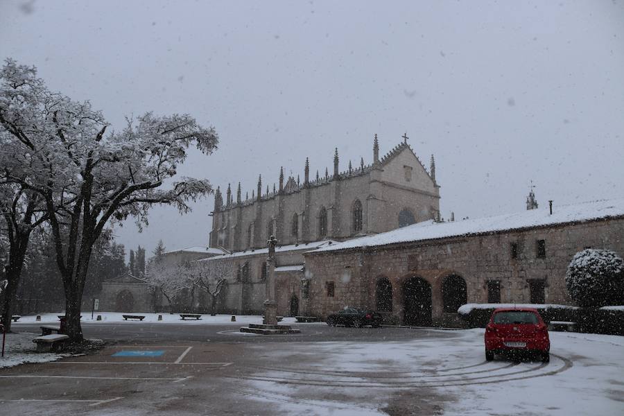 La incesante nieve ha caído durante toda la jornada del sábado ha dejado bellas estampas en la ciudad