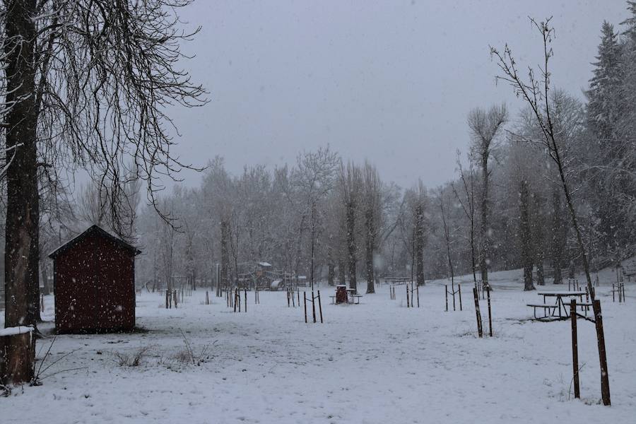 La incesante nieve ha caído durante toda la jornada del sábado ha dejado bellas estampas en la ciudad