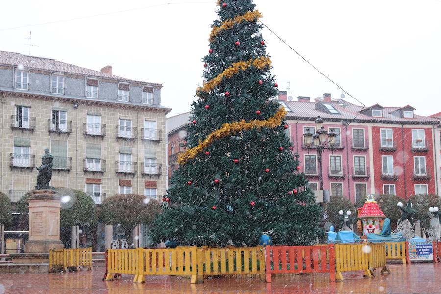 La incesante nieve ha caído durante toda la jornada del sábado ha dejado bellas estampas en la ciudad