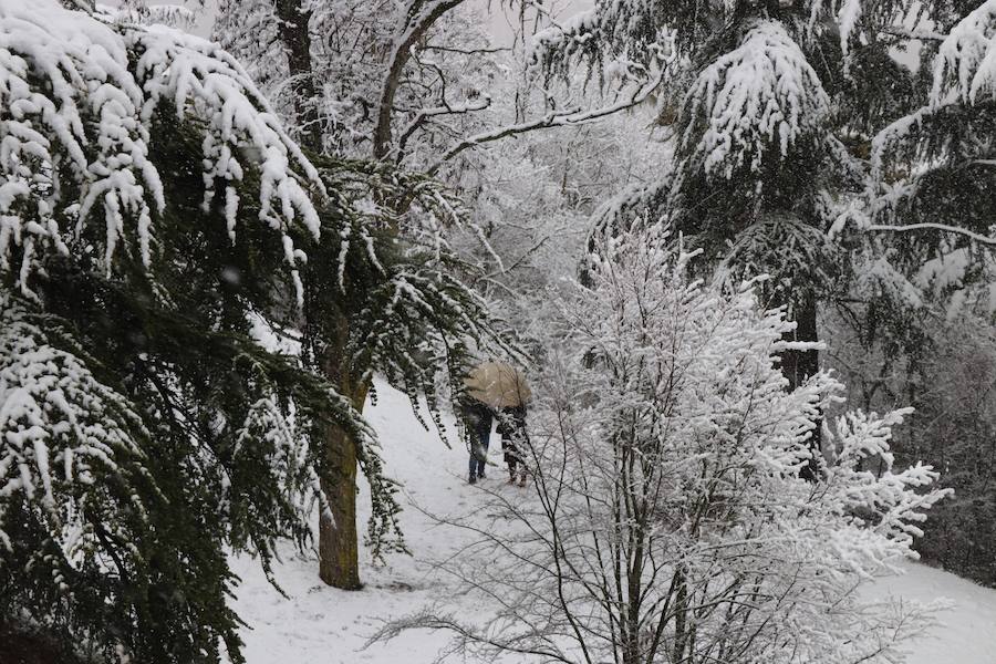 La incesante nieve ha caído durante toda la jornada del sábado ha dejado bellas estampas en la ciudad