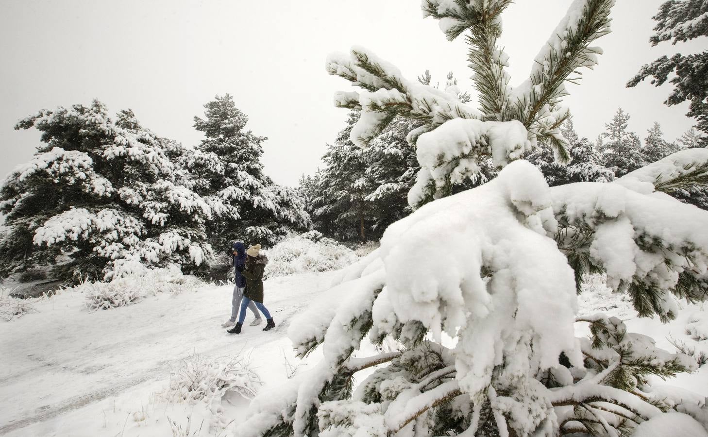 Candelario (Salamanca).