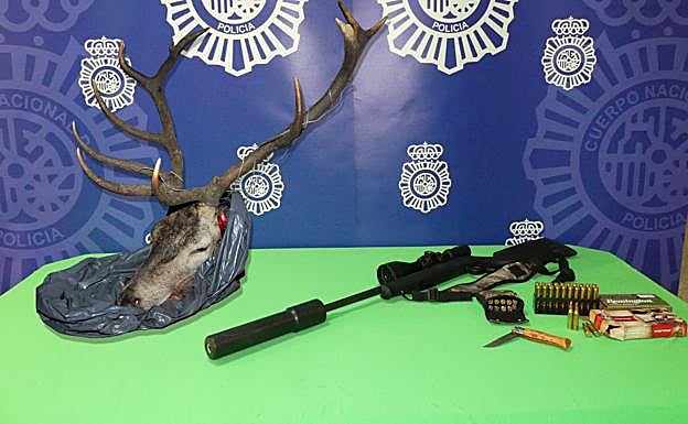 Sorprendidos con la cabeza de un ciervo y un arma en el maletero tras robar en Decathlon